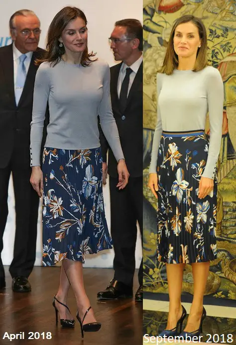 Queen Letizia finished her royal week with Audiences before 46th ...