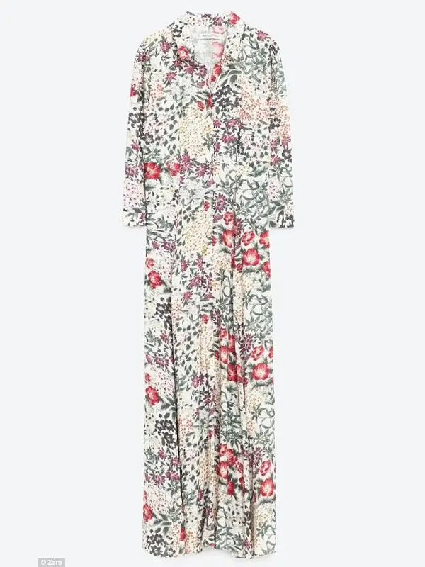 Floral Print Long Dress Zara Long Sleeve NEW India | Ubuy